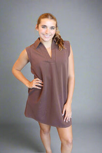 Fresno Collared Mini Dress